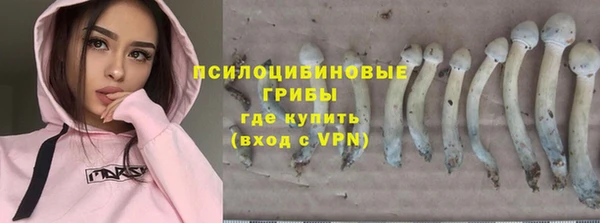 наркотики Бородино
