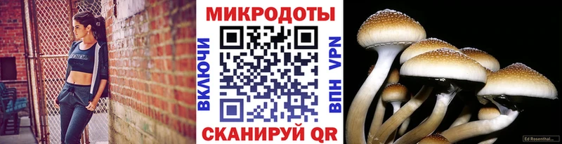 Купить где  Нязепетровск  Галлюциногенные грибы Magic Shrooms 